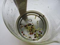 金银花胎菊茶的做法步骤3